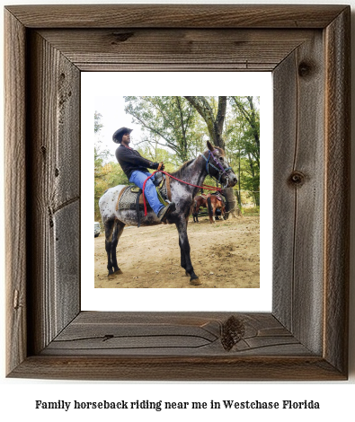 family horseback riding near me in Westchase, Florida